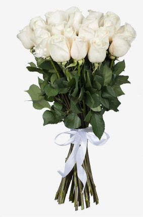 Λευκά Τριαντάφυλλα Image