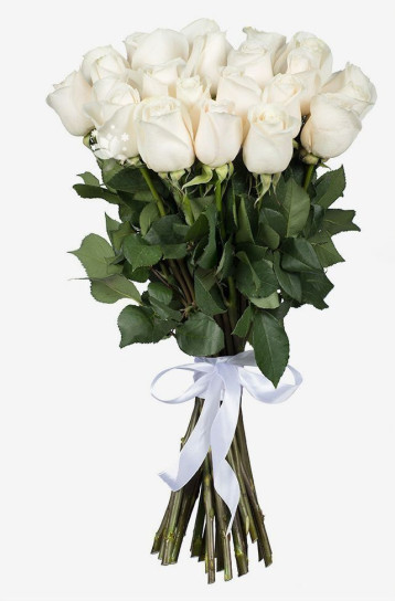Λευκά Τριαντάφυλλα