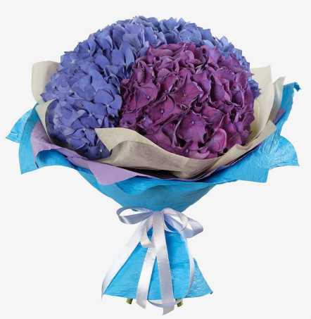 Best hydrangea bouquet