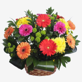 Basket with Gerberas Image