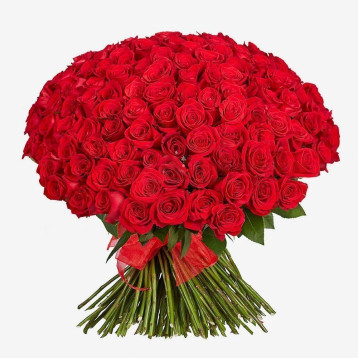 150 Κόκκινα Τριαντάφυλλα