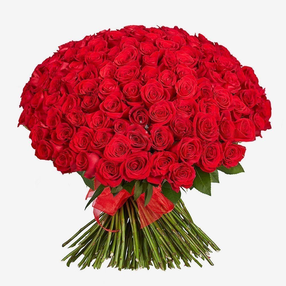 Red Rose Bouquet - From 5 to 15 red roses - Frida's, bouquet rose 