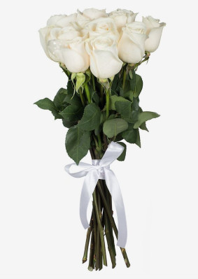 11 White Roses Image