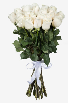 Λευκά Τριαντάφυλλα Image